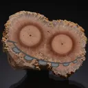 BARYTE Stalactitic Section - image 1