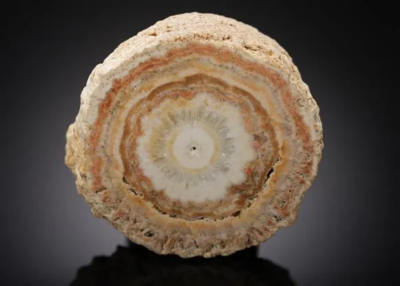 Baryte Stalactitic Section - image 1