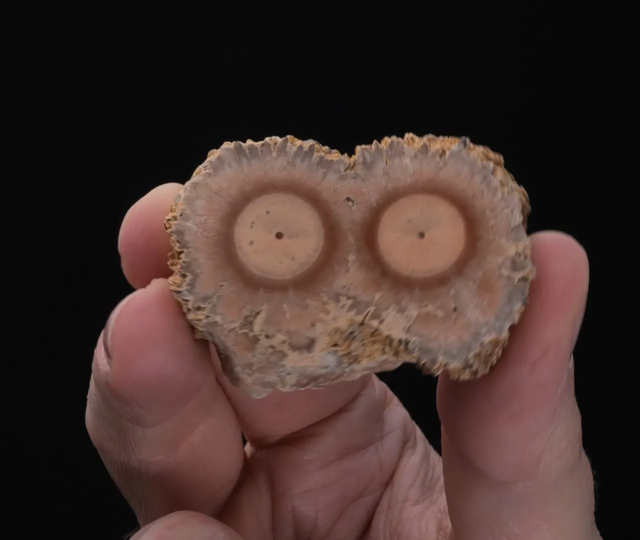 BARYTE Stalactitic Section - image 2