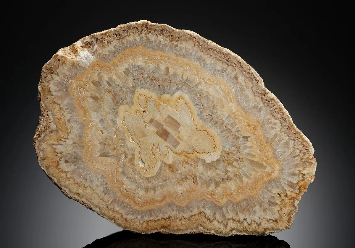 Baryte Tree Slice - image 1