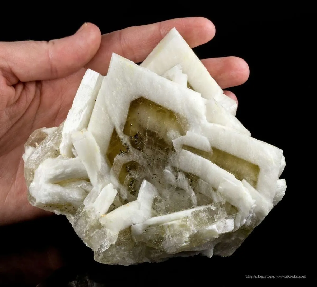 Baryte (Two Generations) - image 4