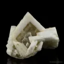 Baryte (Two Generations) - image 4