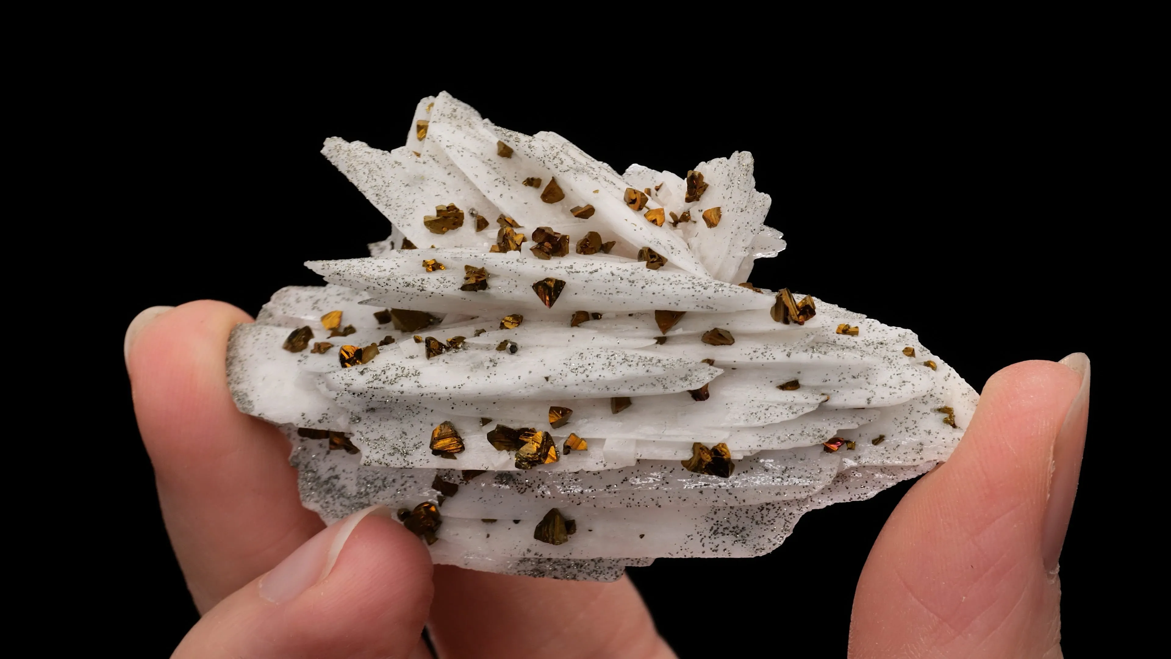 Baryte with Chalcopyrite - image 2