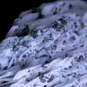 Baryte with Chalcopyrite - image 3