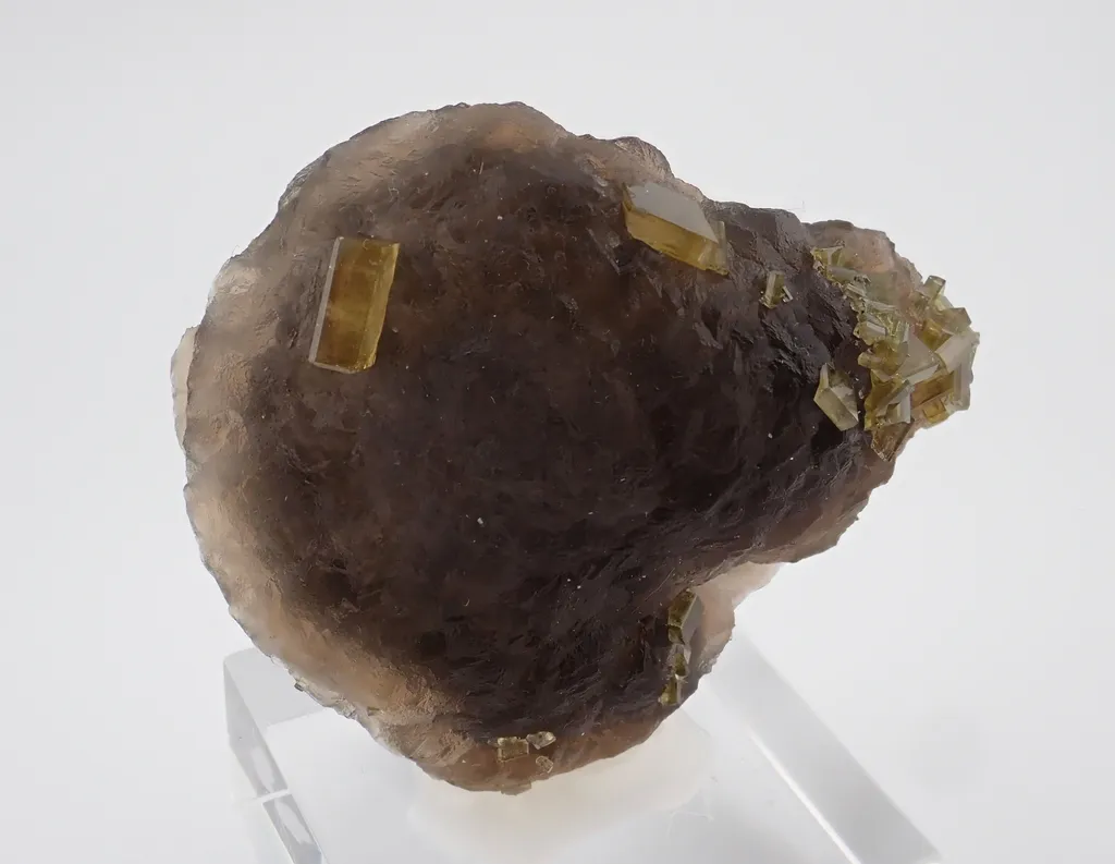 Baryte with Fluorite image
