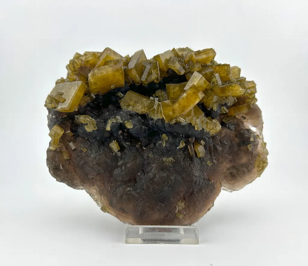 Baryte with Fluorite image