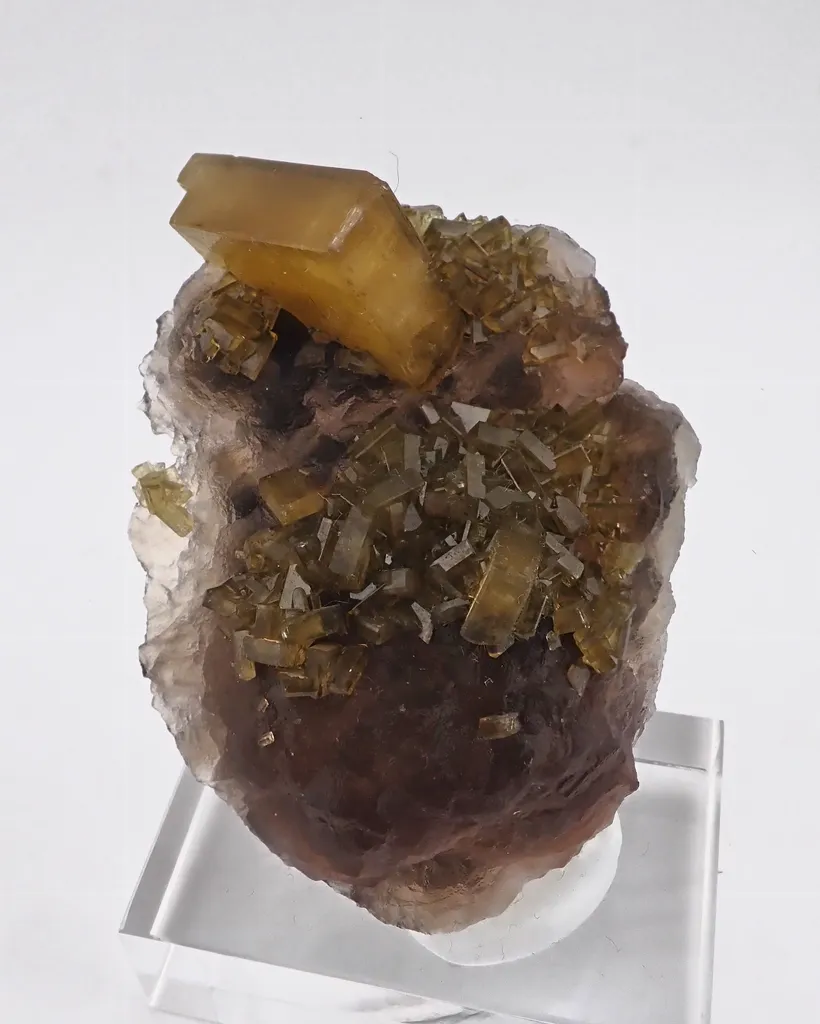Baryte with Fluorite - image 4