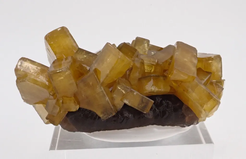 Baryte with Fluorite image