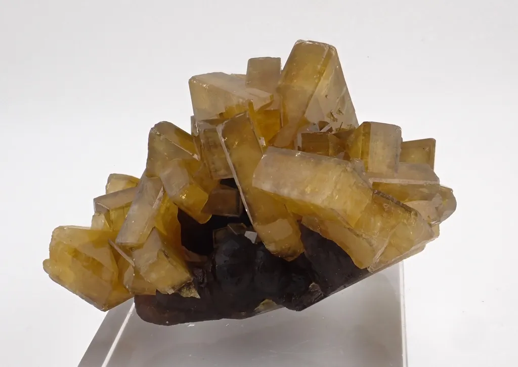 Baryte with Fluorite image
