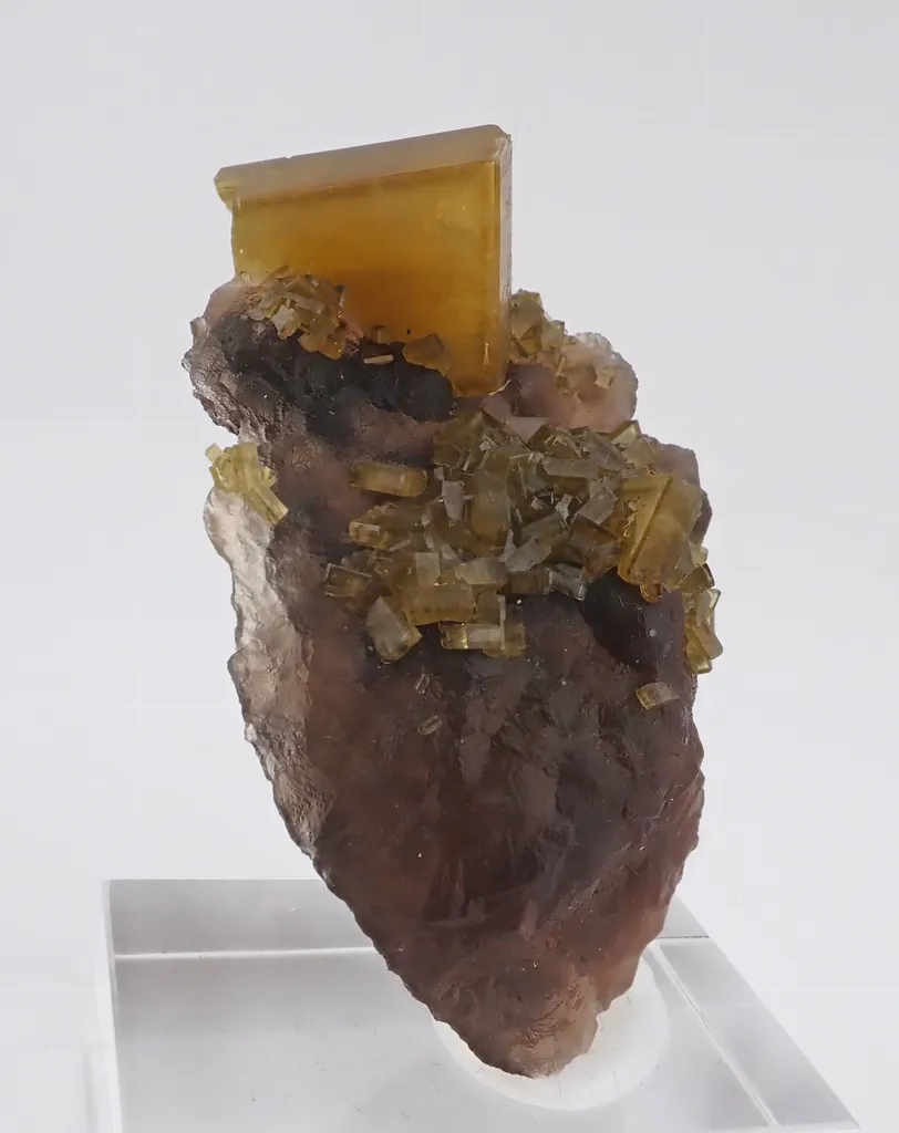 Baryte with Fluorite image