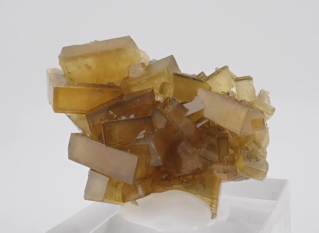 Baryte with Fluorite image