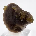 Baryte with Fluorite - image 4