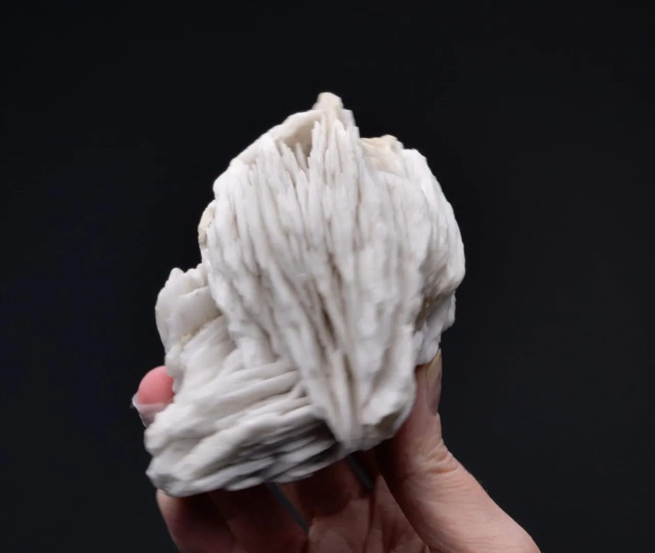 Baryte with Galena - image 2