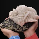 Baryte with Sphalerite - image 2