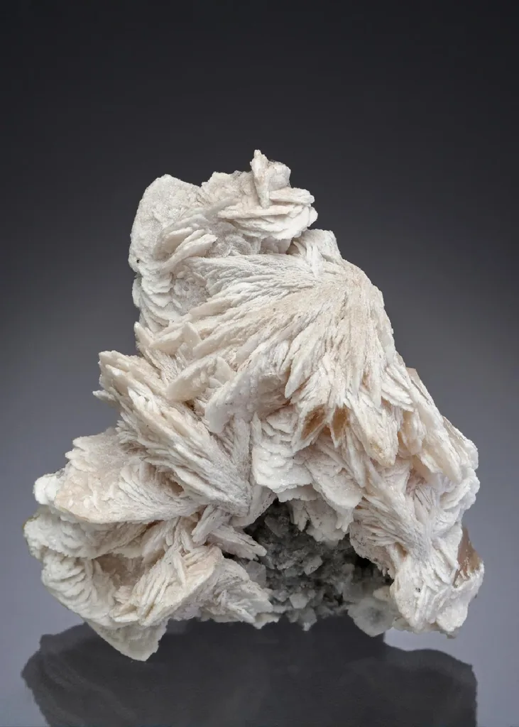 Barytocalcite image