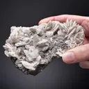 Barytocalcite - image 2