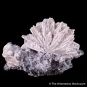 Barytocalcite with Calcite - image 1