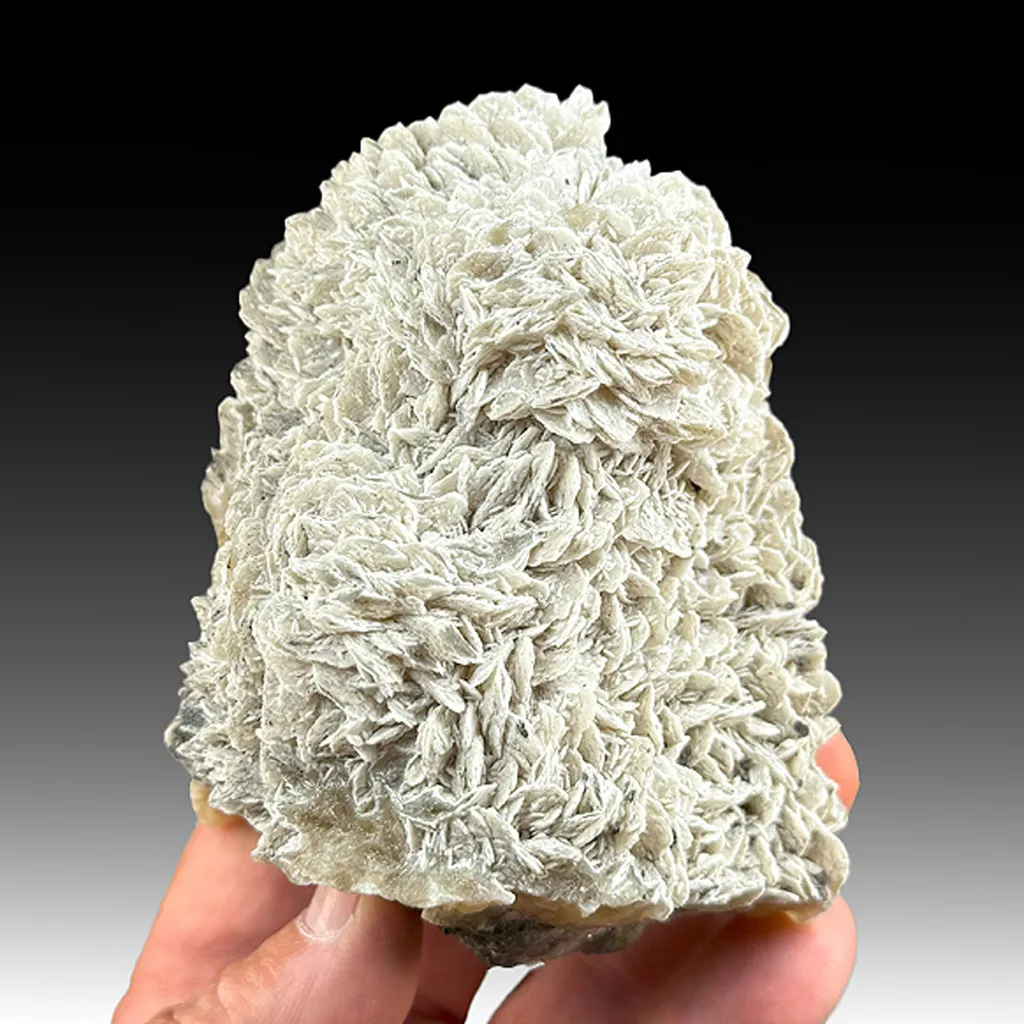 barytocalcite with Witherite image