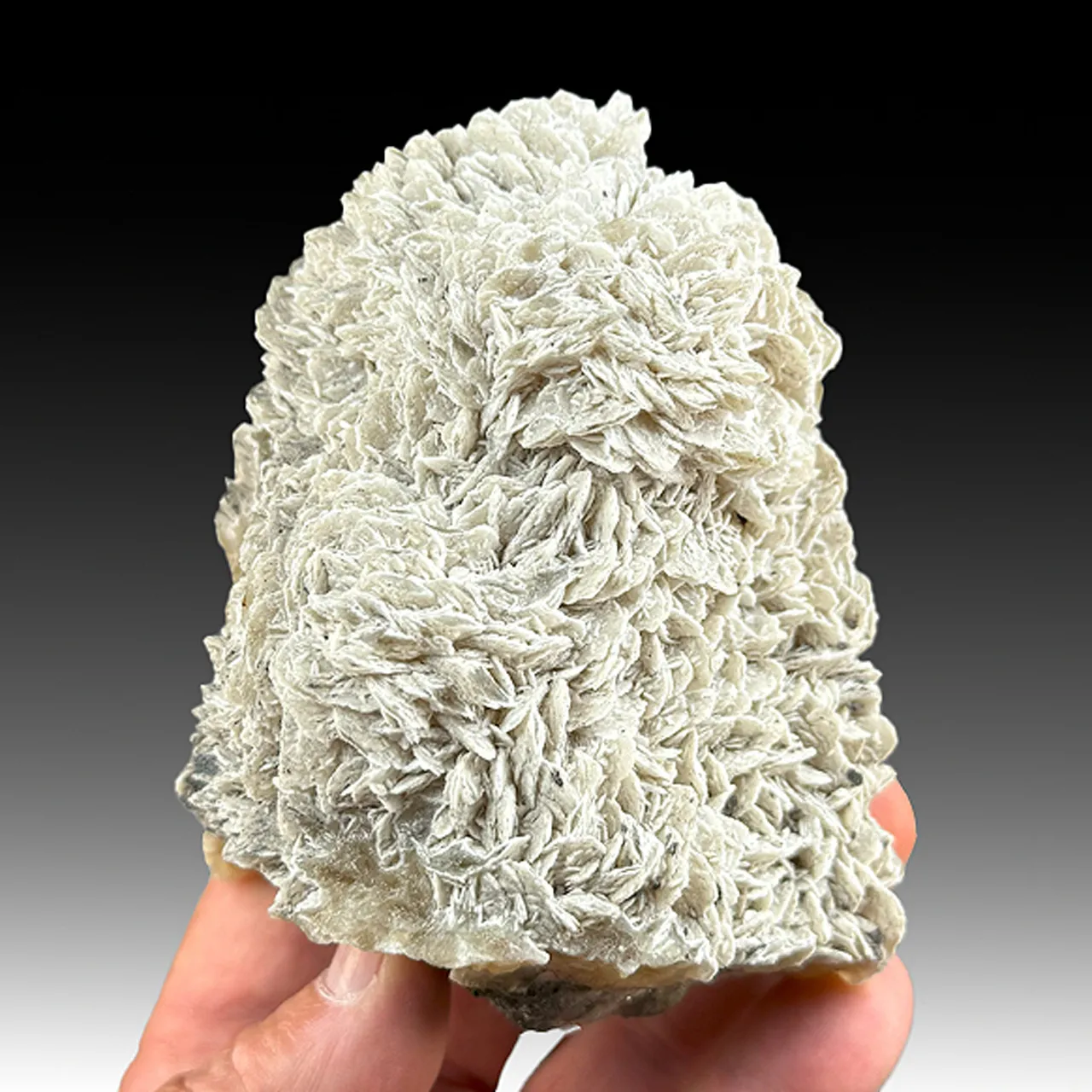 barytocalcite with Witherite - image 1