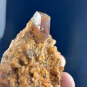 specimen video