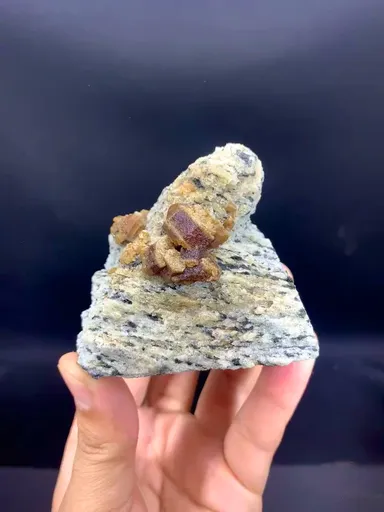 specimen video