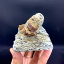 specimen video