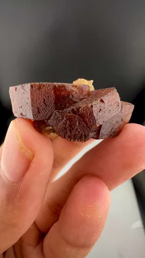 specimen video