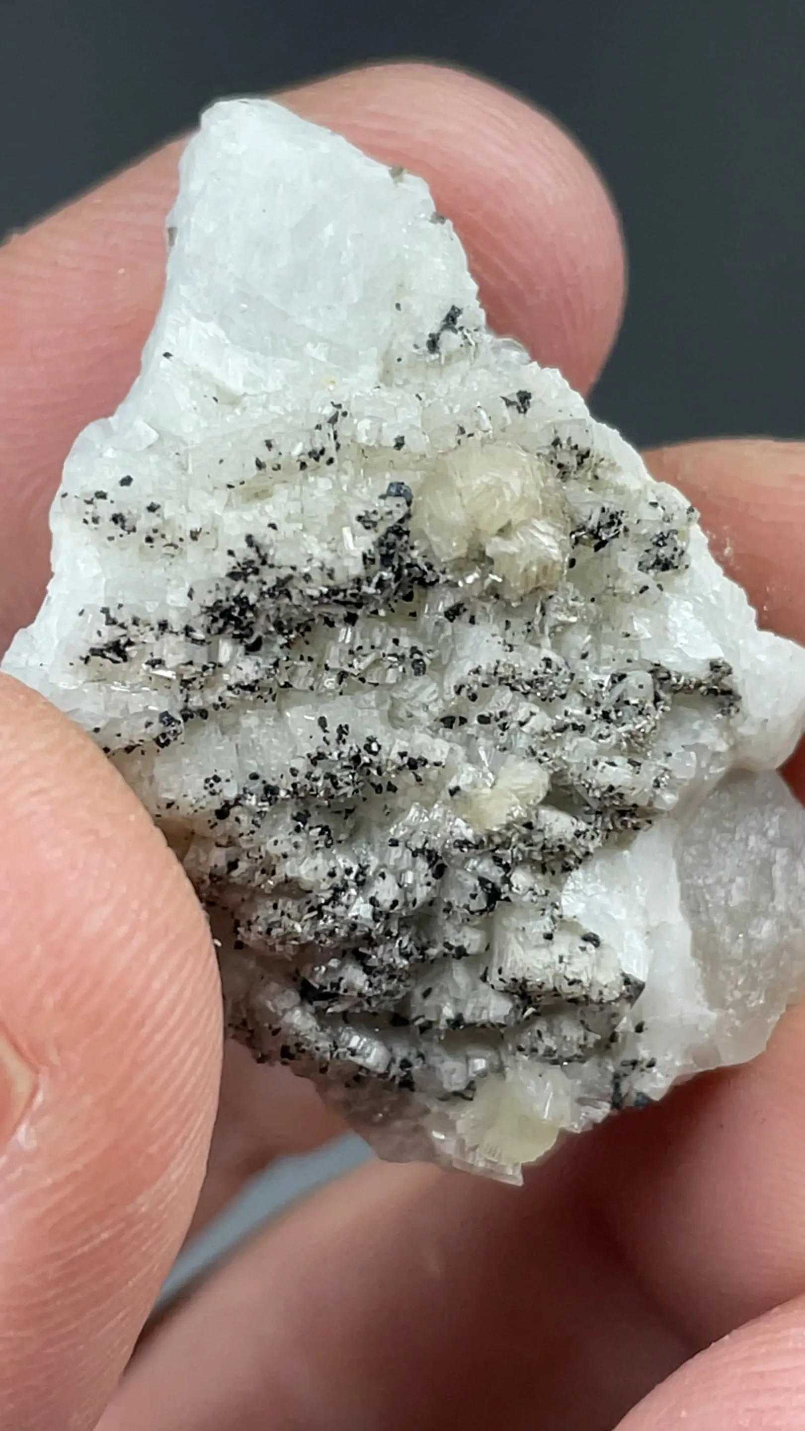 Bavenite with Albite, Chlorite - image 2