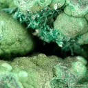 Bayldonite - image 3