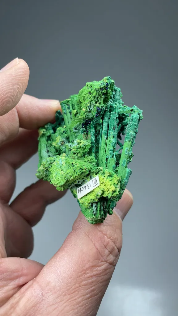 Bayldonite after Mimetite - image 2