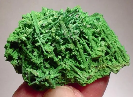 Bayldonite image