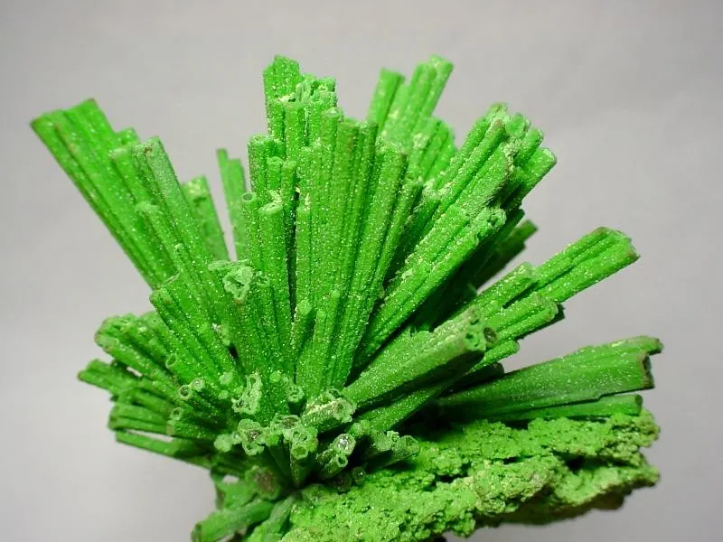 Bayldonite image