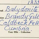 Bayldonite, Galena, Quartz - image 3