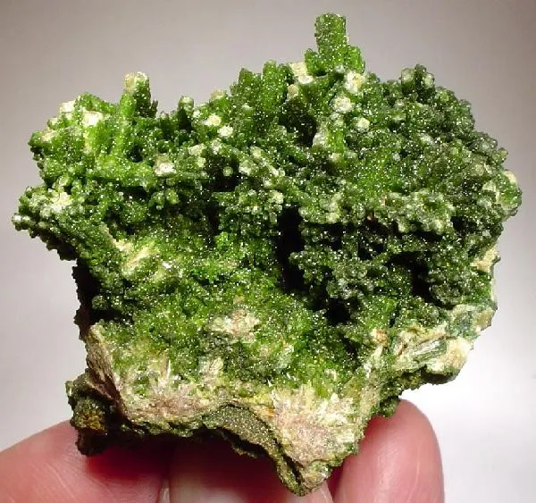 Bayldonite, Mimetite image
