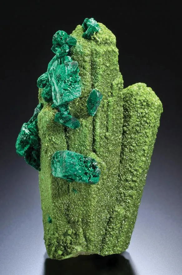 Bayldonite, Mimetite, Malachite, Azurite image