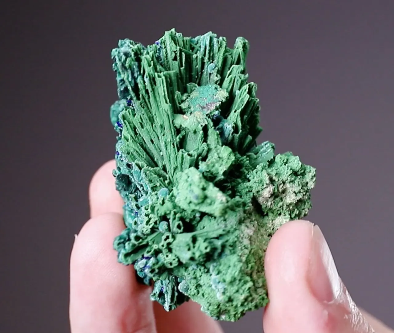 Bayldonite ps. after Mimetite with Azurite - image 2