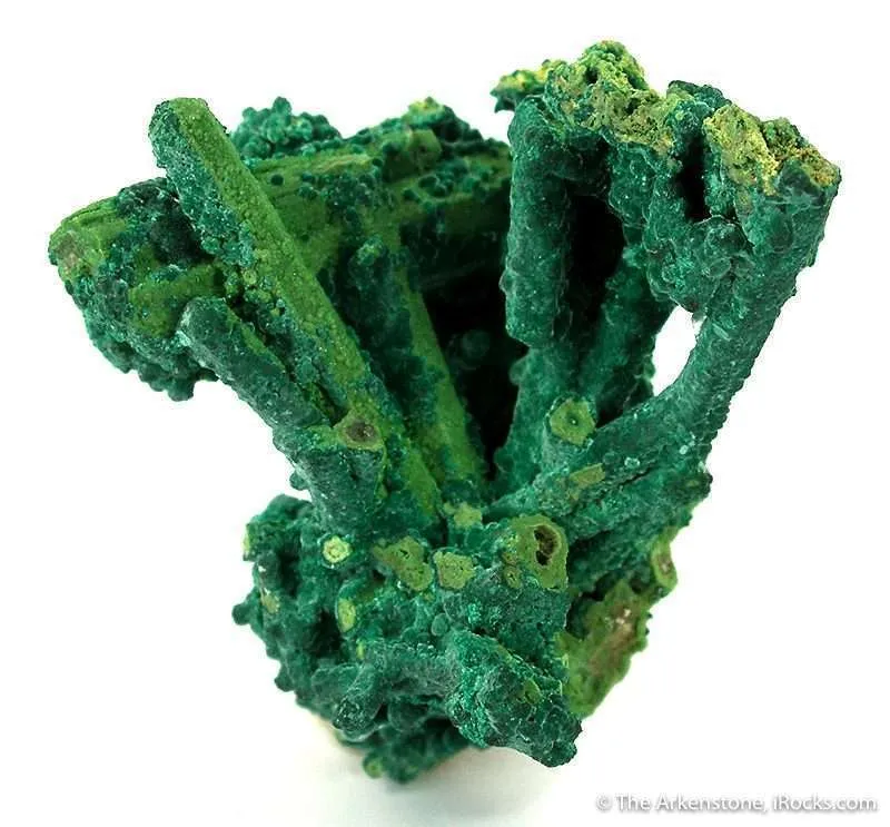 Bayldonite Ps. Mimetite image