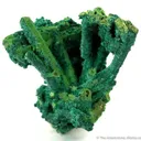 Bayldonite Ps. Mimetite - image 1