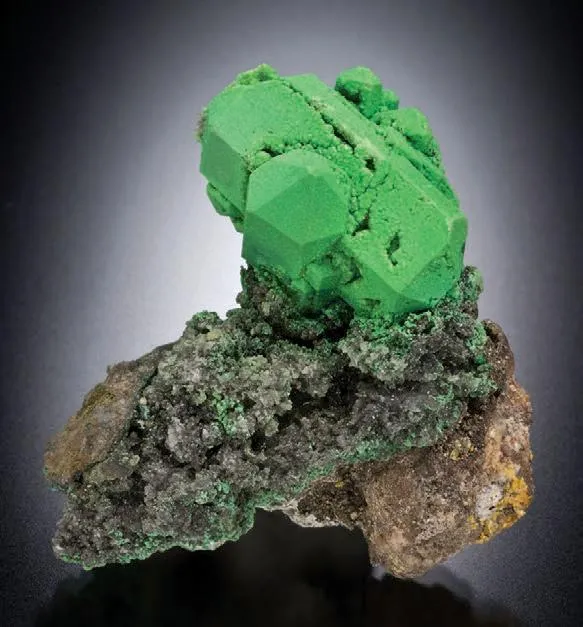 Bayldonite pseudomorph after Mimetite image