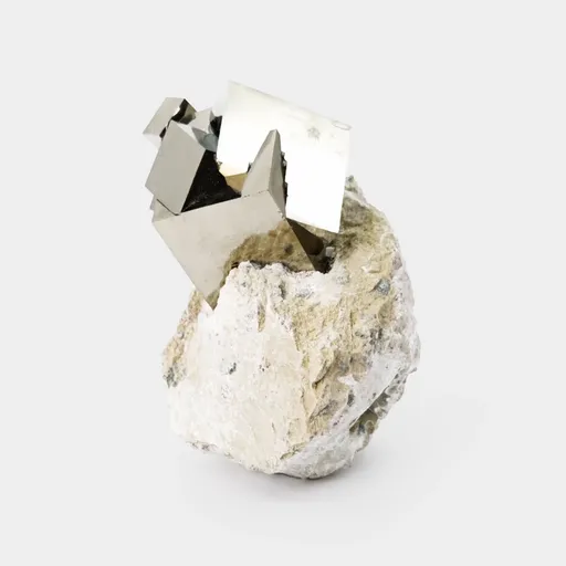 specimen video