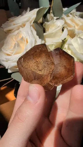 specimen video