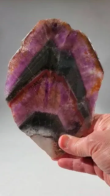 specimen video