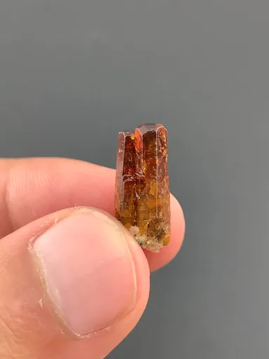 specimen video