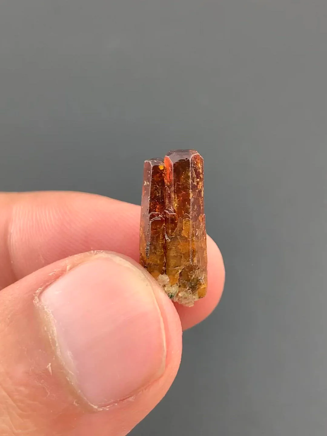 specimen video