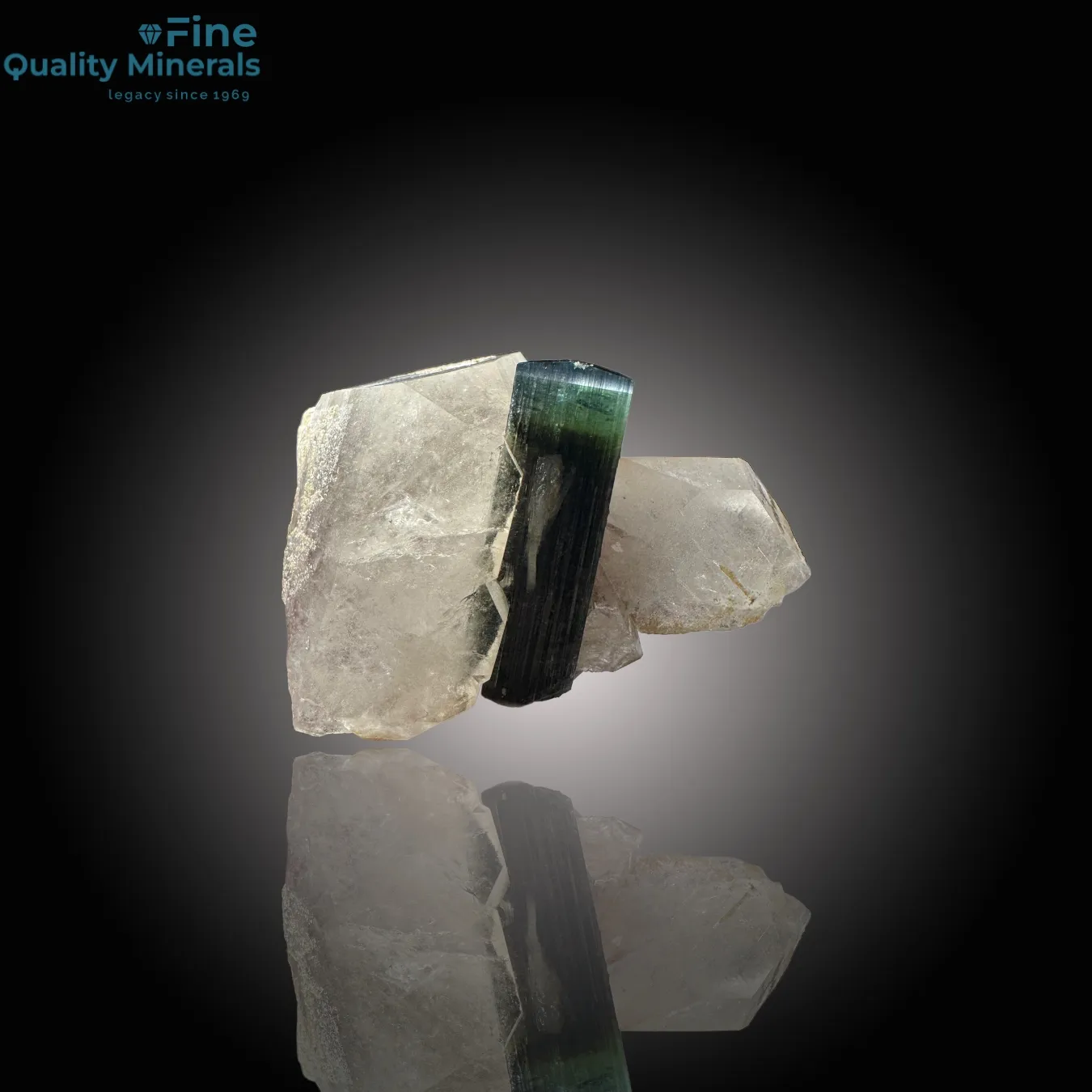 Beautiful Bi-Color Tourmaline on Quartz - image 1