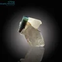 Beautiful Bi-Color Tourmaline on Quartz - image 3