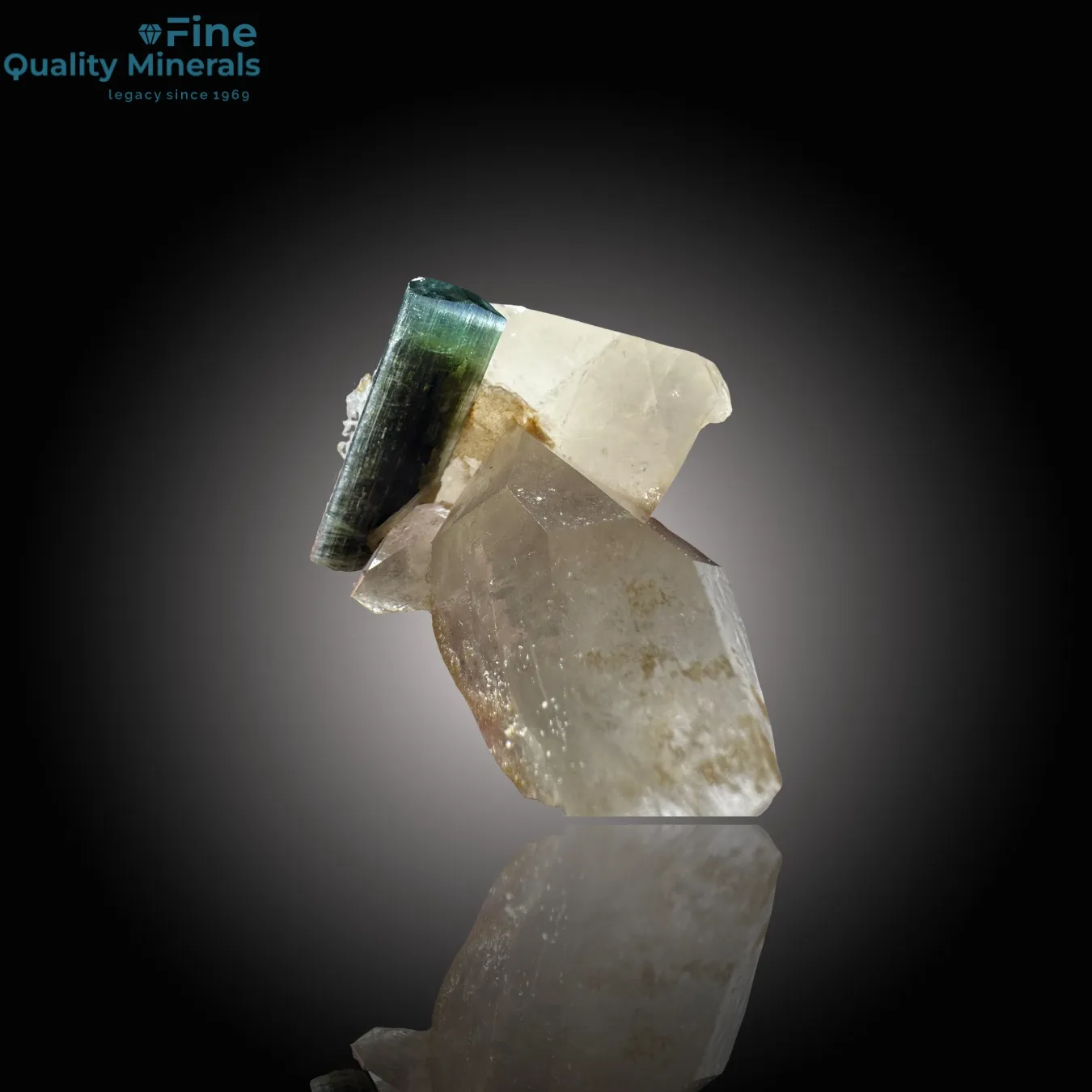 Beautiful Bi-Color Tourmaline on Quartz - image 3