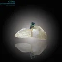 Beautiful Bi-Color Tourmaline on Quartz - image 2