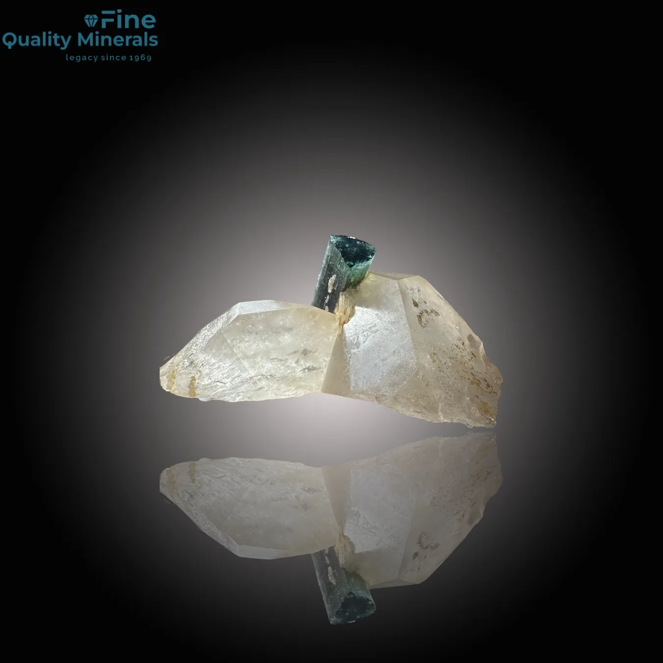 Beautiful Bi-Color Tourmaline on Quartz - image 2