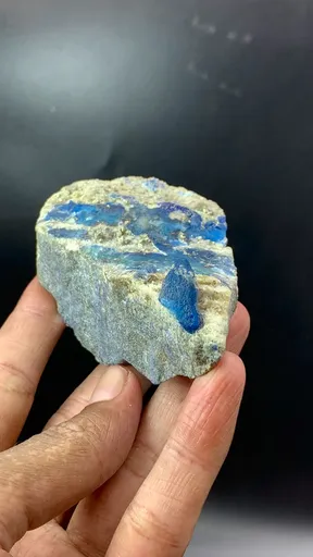 specimen video